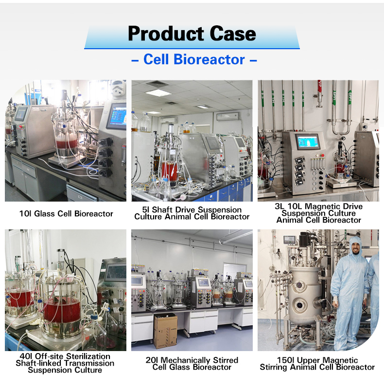 Bioreactor Assembly View 2