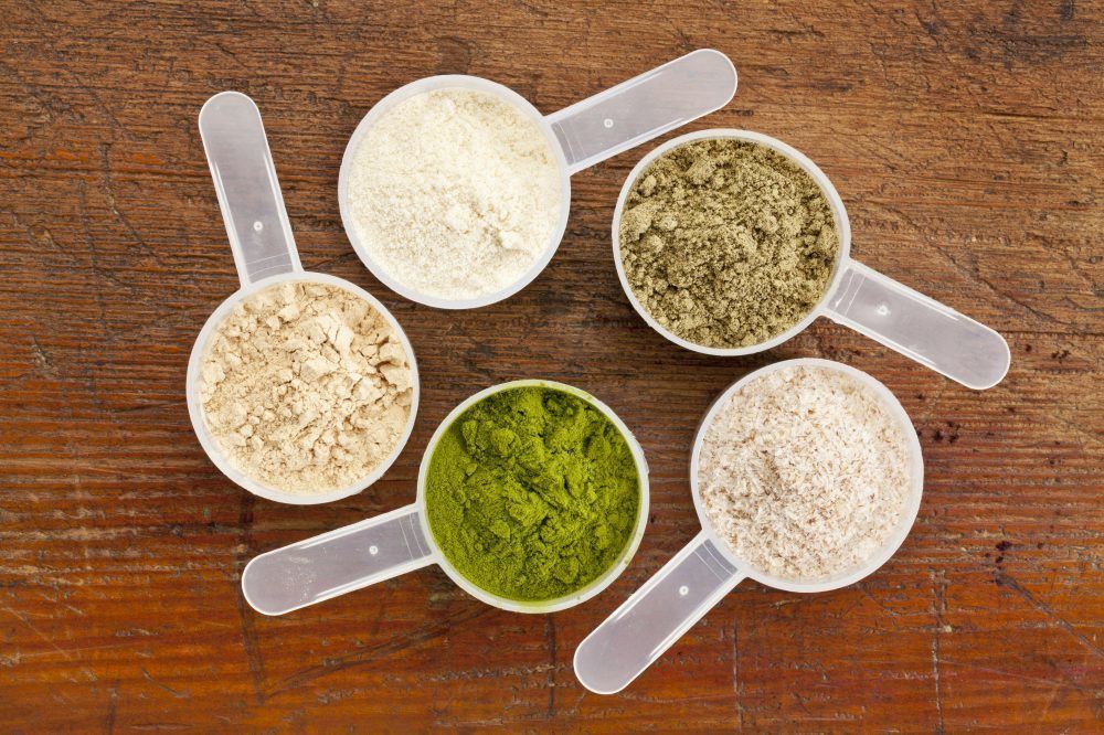 Organic Plant Based Protein Powder Raw Organic Vegan Protein Blend, 2.6 Pound, 30 Servings (Chocolate) Wholesale Private Label