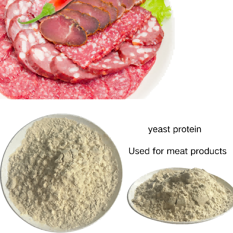 Yeast Protein F88MC Refined Fermented Protein Used in Medical Supplement Probiotic Formula and Health Care