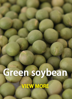 Soya Bean Type D