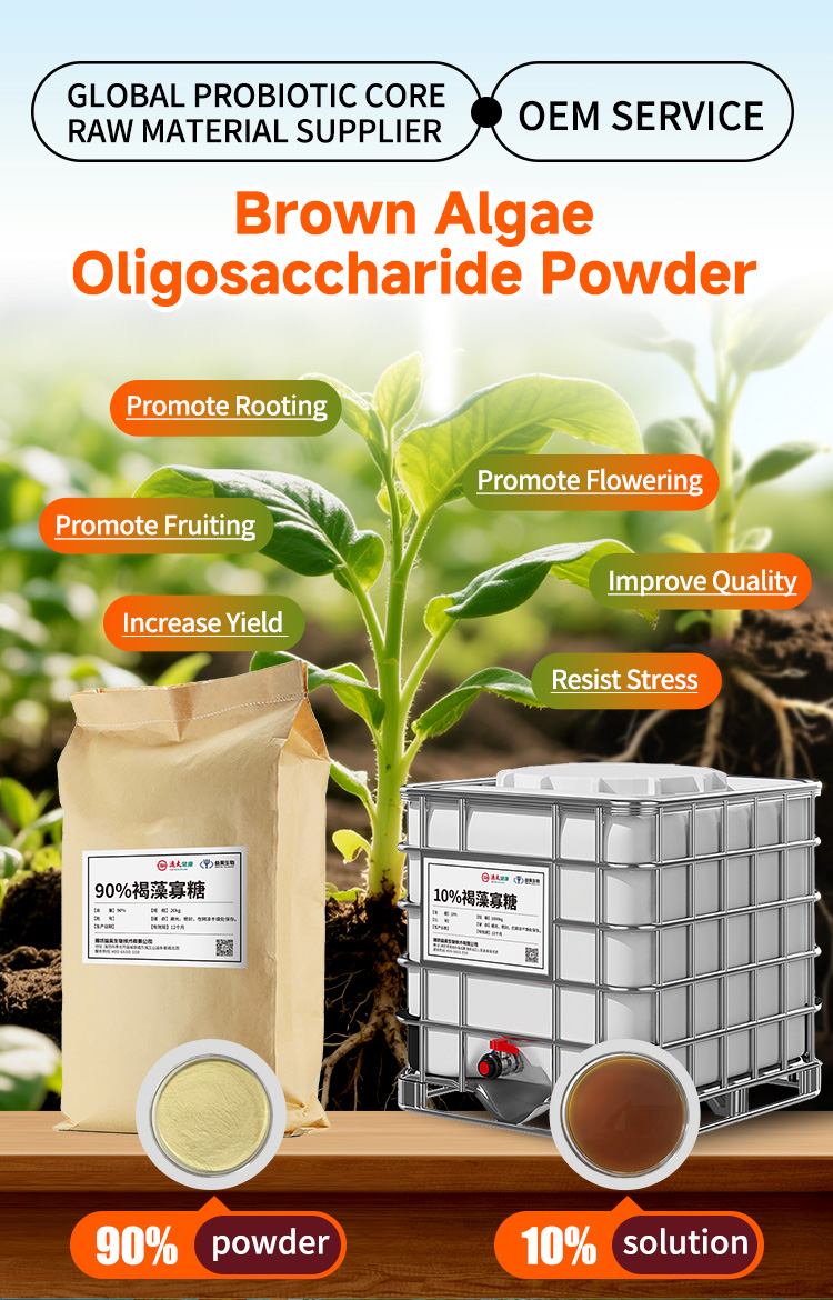 Product Parameters