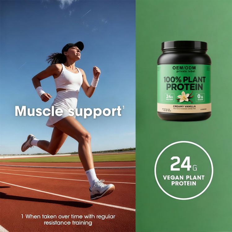 Manufacturer Nutrition Protein Supplement Fast Delivery Great Price Natural High Quality Plant Based Protein