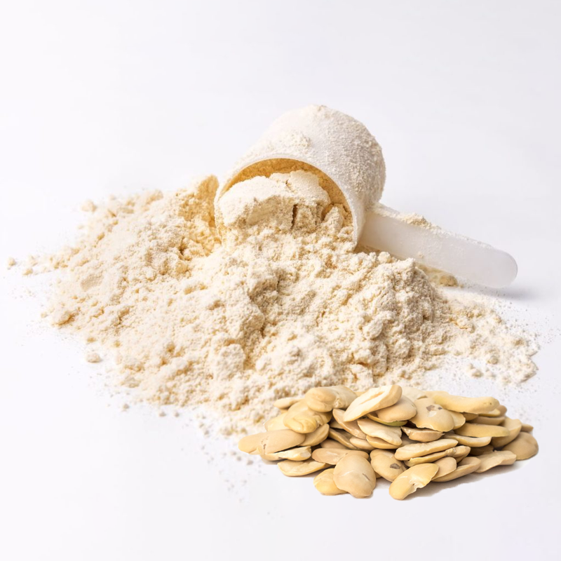 Health Care Supplies New Product 2023 Popular Powder Superfood Halal Organic Fava Bean Flour Protein Fava Bean Protein Powder