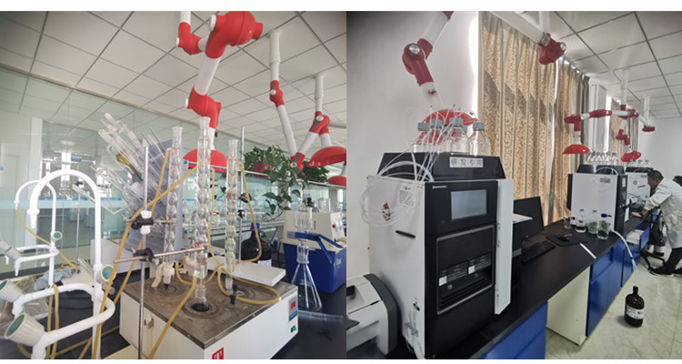 Advanced Testing Lab