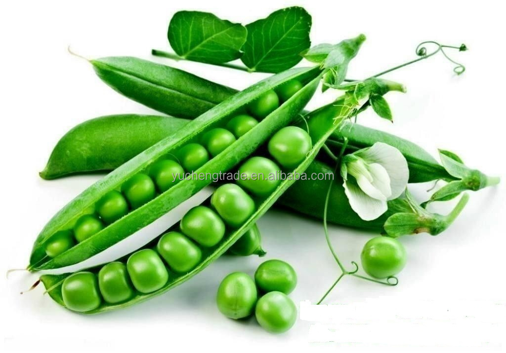 Soy Extract Collagen Detail 3