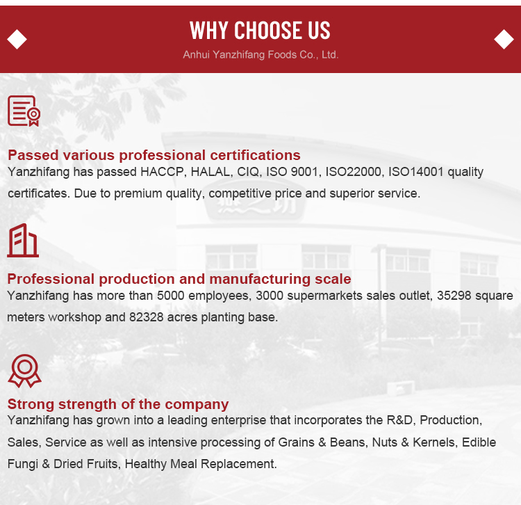 Why Choose Us