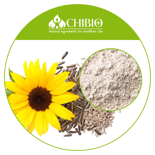 Sunflower Seed Powder Detail