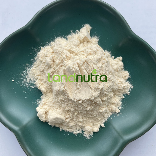 100% Organic Mung Bean Protein Powder High Quality Mung Bean Protein Isolate