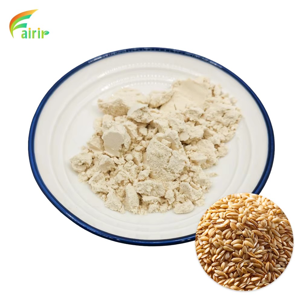 Wheat Protein Raw Material