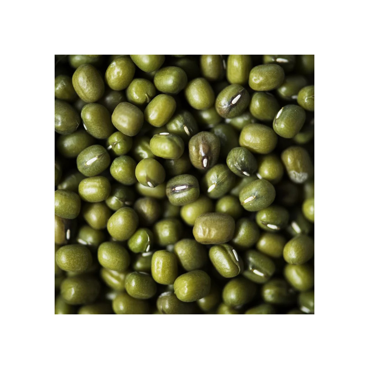 Organic Dried Bulk Green Mung Bean Protein