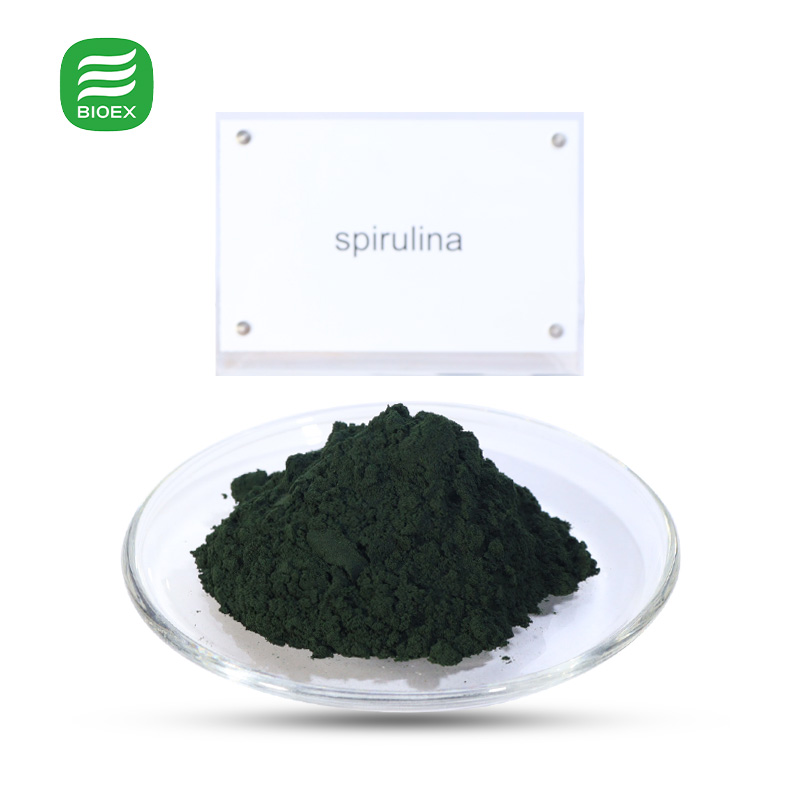 Manufacturer Wholesale Bulk Organic Premium Nutrition Protein Supplement Natural Green Microalge Spirulina Extract Powder
