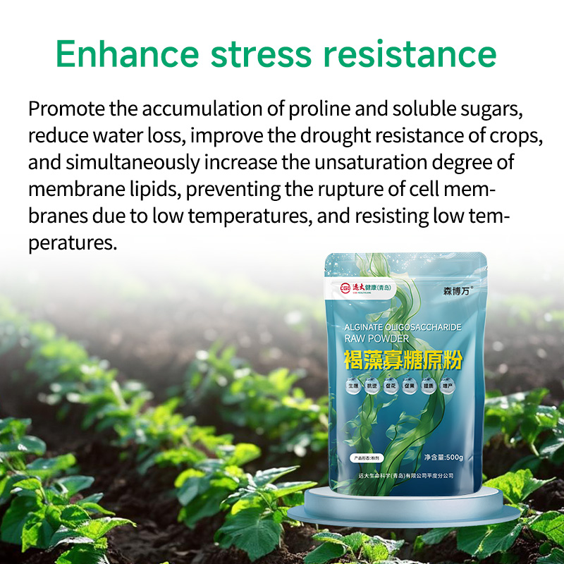 YiHao 100% Pure Brown Algae Oligosaccharides Biological Fertilizer Biostimulant Powder With Controlled Release For Agriculture