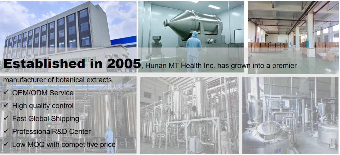 Production Process