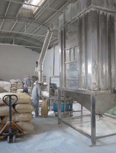 Factory Production