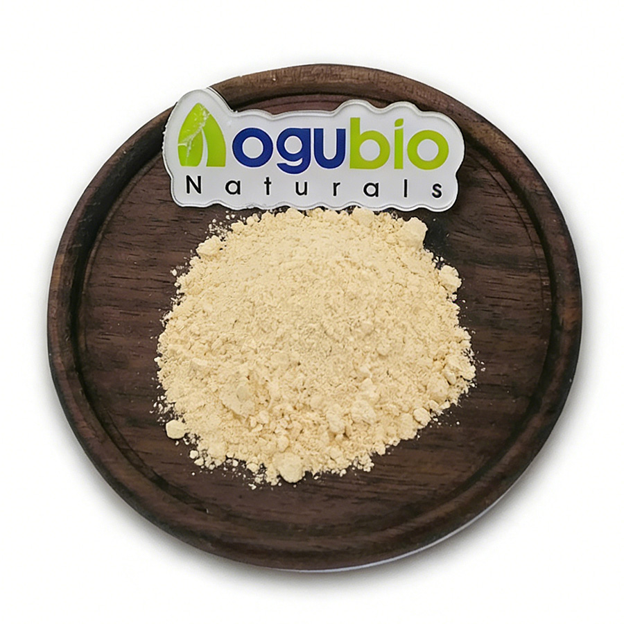 Custom Private Label Plant Based Protein Powder OEM Vegan Pea Rice Soy Protein Blend For Muscle Recovery &amp; Shake 1lb 2lb