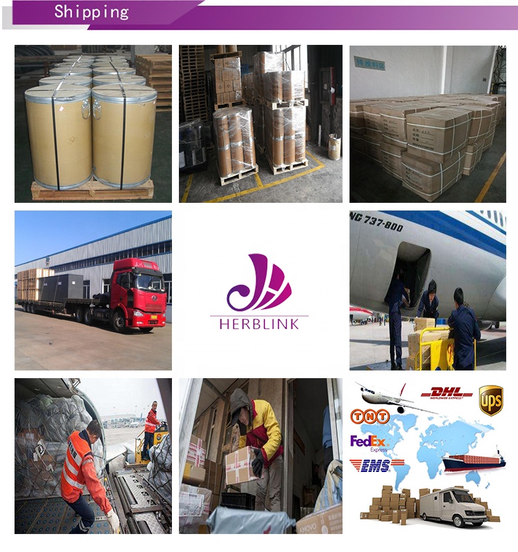 Wholesale Bulk Protein Oat Peptide Powder Oat Peptides