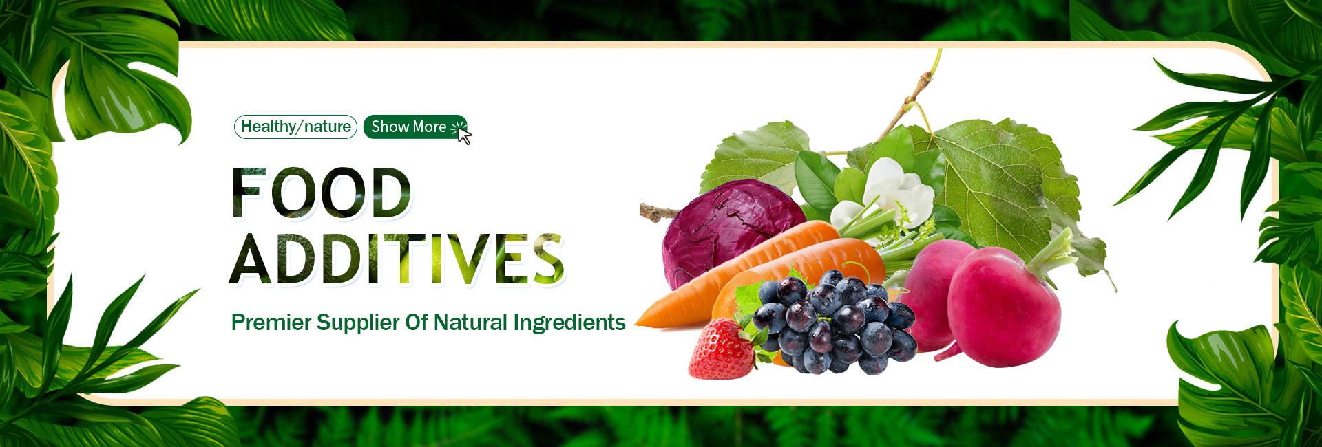 Canola Protein Banner