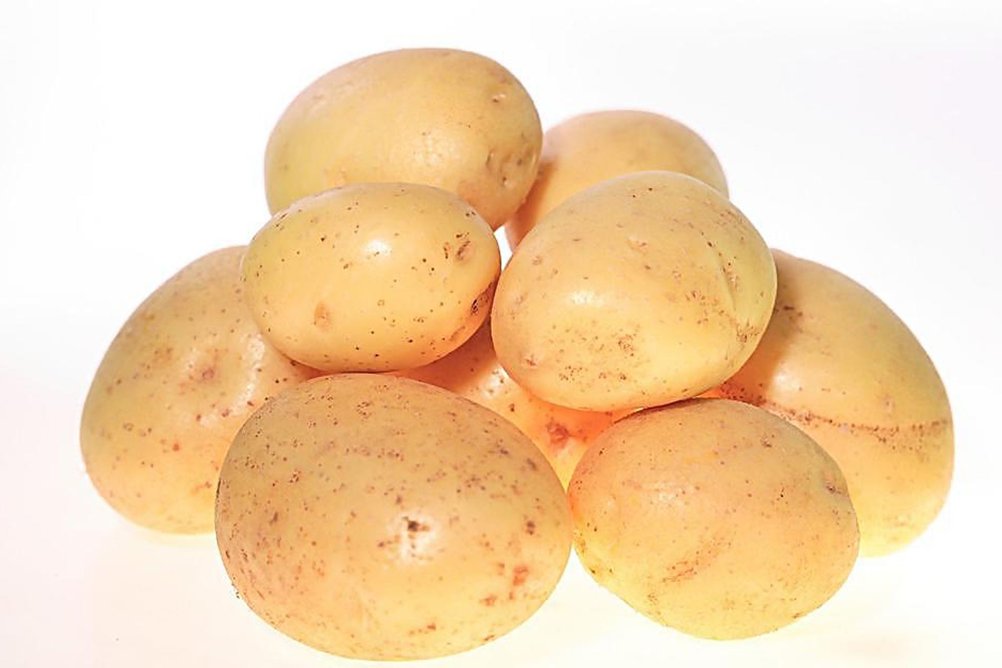 Potato Protein