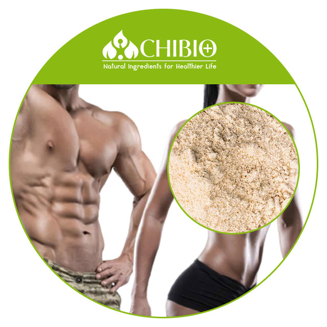 Oat Protein Powder Overview