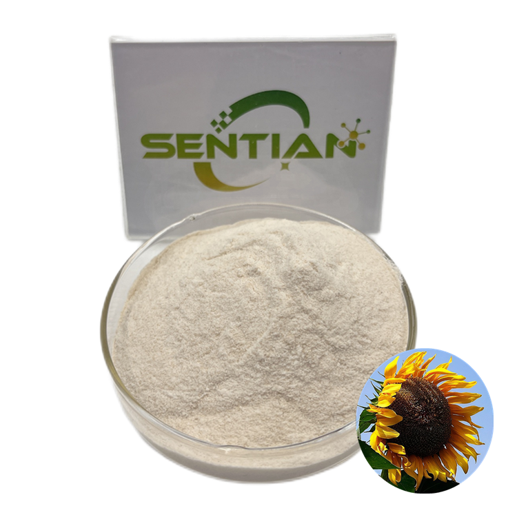 Wholesale High Quality Chinese Sunflower Seed Protein Powder Sunflower Seed Sprout Protein Extract Sunflower Protein Powder