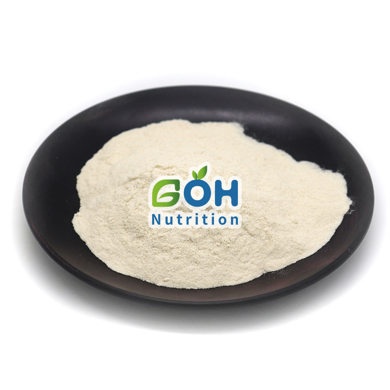 GOH Supply Top Quality Organic Sunflower Seed Extract Protein Powder 60% Sunflower Seed Protein