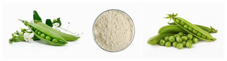 Soy Pea Protein Powder Production