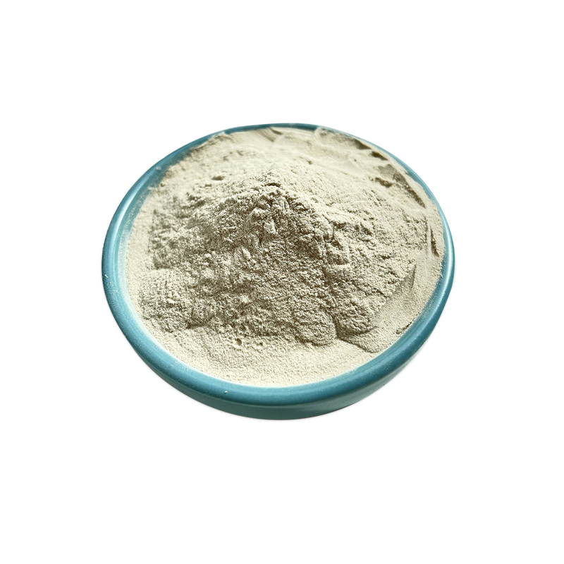 Ciyuan High Quality Natural Best Price Complete Proteins Rice Protein Powder