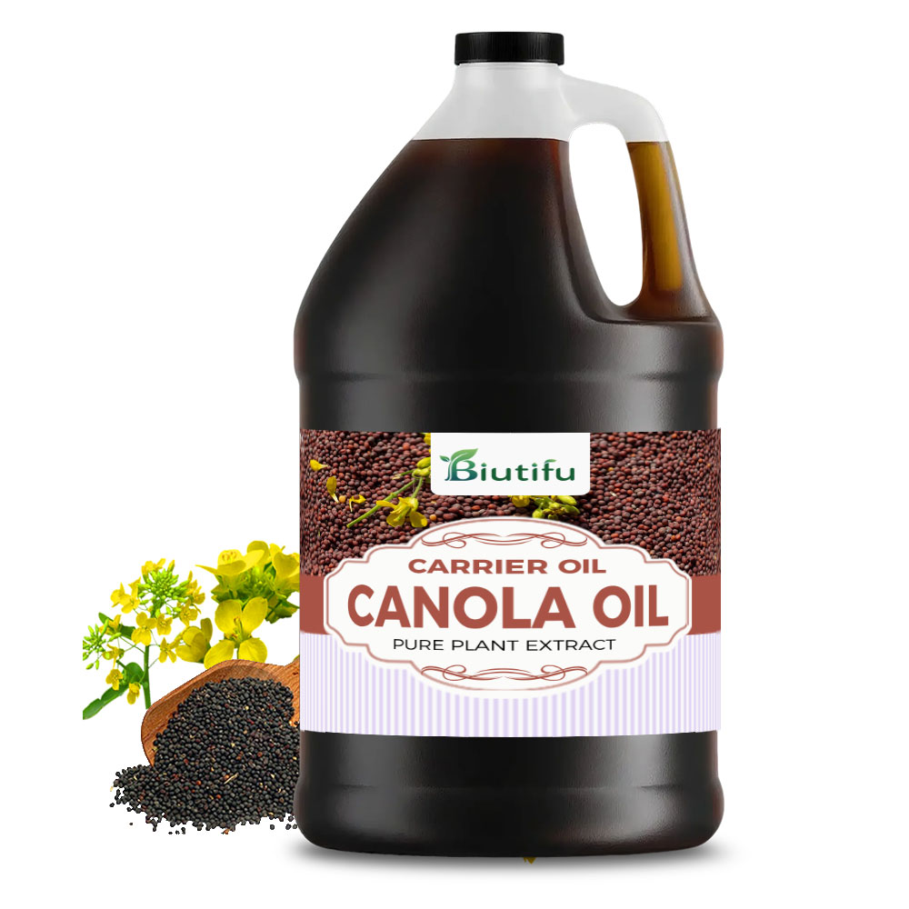 Plant Extract Canola Oil Suitable for Various Cooking Antioxidant Promotes Nutrient Absorption Provides Essential Fatty Acids