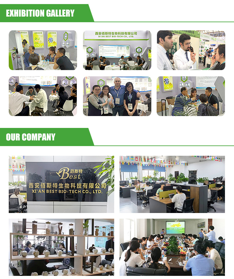 Warehouse and logistics 1
