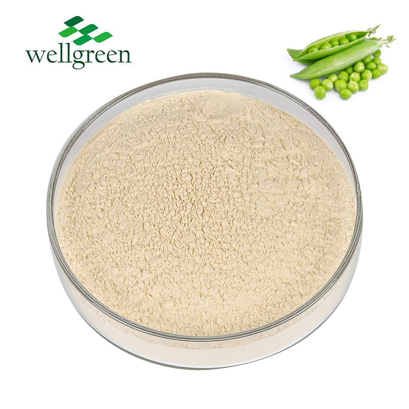Pea Protein Isolate Application 1