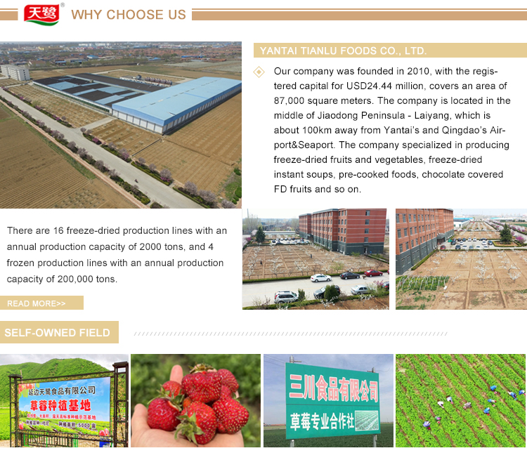 Production Process