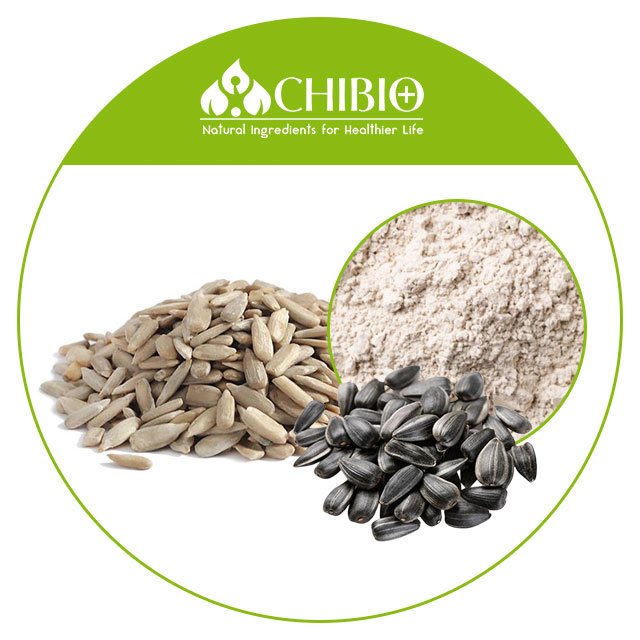 Organic Protein Sunflower Seed Protein Powder with Low Fat Protein fusion