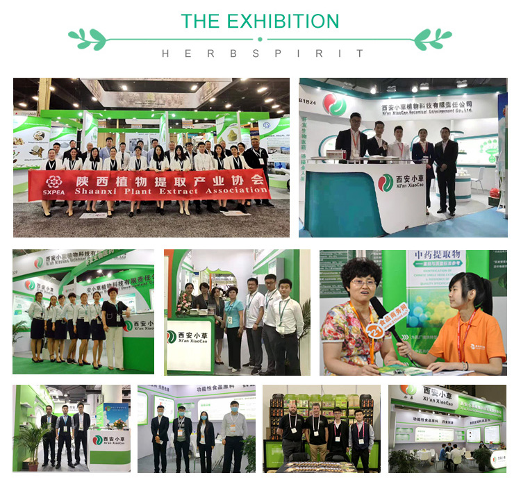 Exhibition
