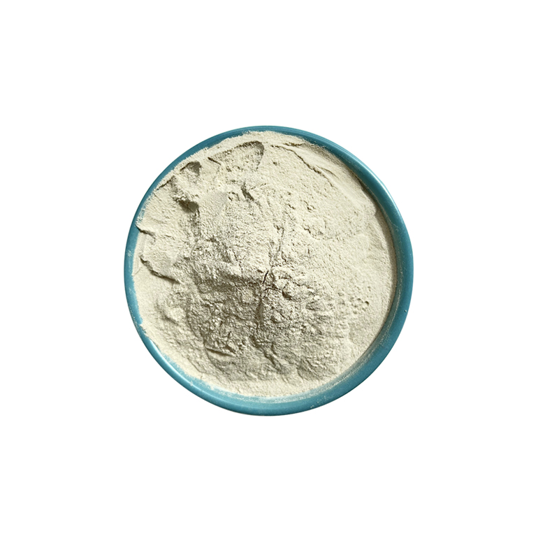 Ciyuan High Quality Natural Best Price Complete Proteins Rice Protein Powder