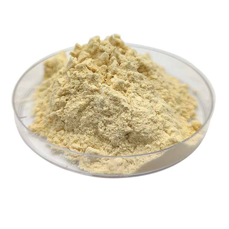 High Quality Hot Sale Vital Wheat Gluten Protein Hydrolyzed Wheat Protein Powder Wheat Protein Isolate