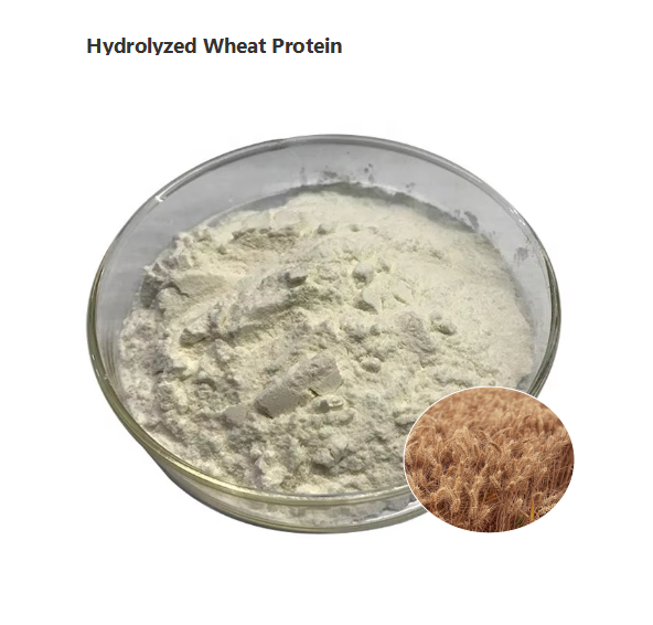 Wheat Protein Powder