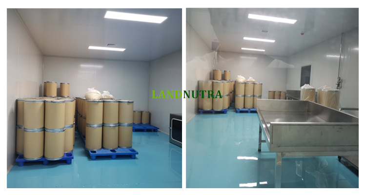 Best Product Food Additives Hydrolyzed Oat Protein Powder for Different Use 90% Protein Hydrolyzed Oat Peptide Powder