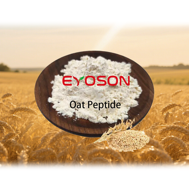 Factory Price Oat Extract Protein Oligopeptide Pure Oatmeal Peptide Raw Powder Oat Dietary Fiber Oat Peptide Powder