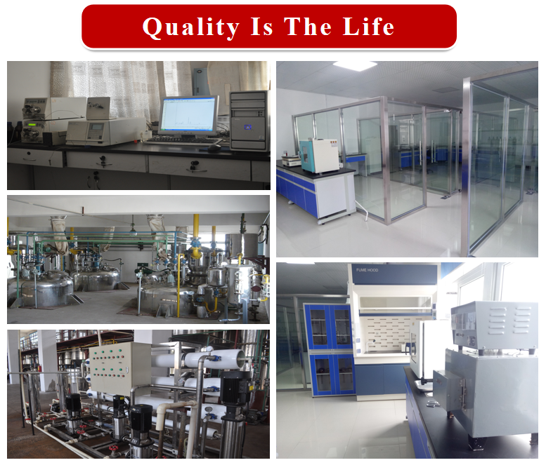 Factory Plant