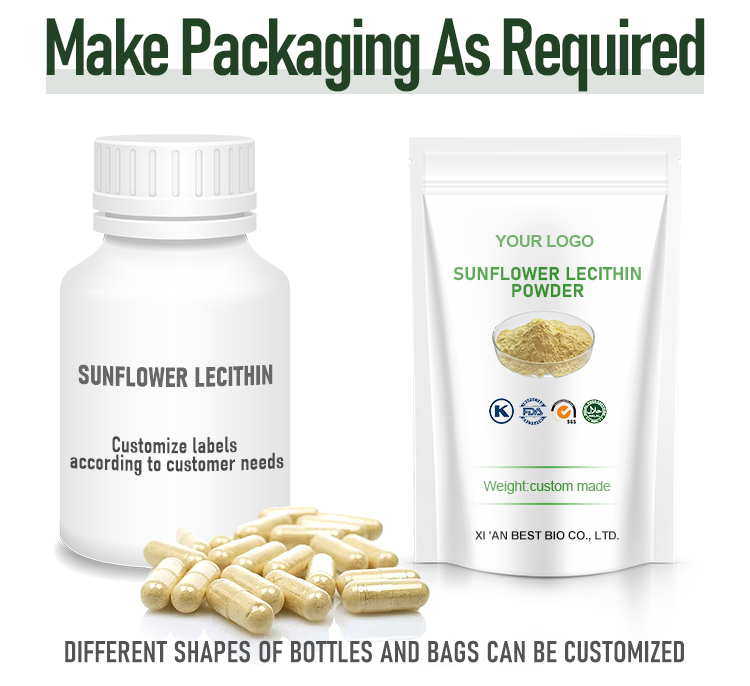 Wholesale High Quality Chinese Sunflower Seeds Sunflower Seed Sprout Protein Extract Powder