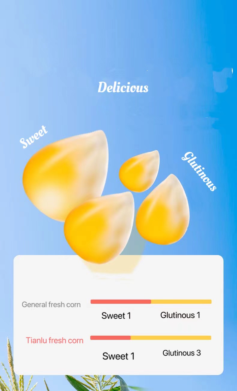 Fresh Sweet Corn Packaging