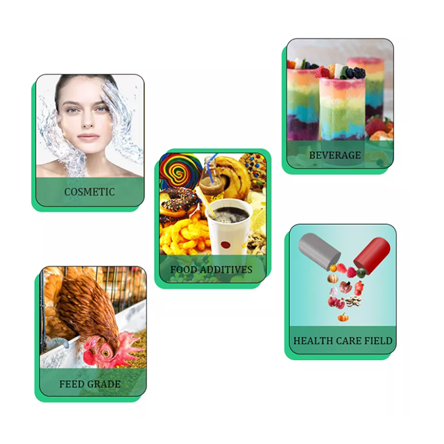 Application 2