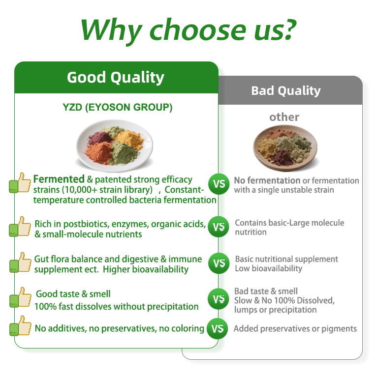 Organic Natural 100+ Fruit Vegetable Powder 100% Water Soluble Fermentation Vegan Protein Enzyme Drink Green Super Food Powder
