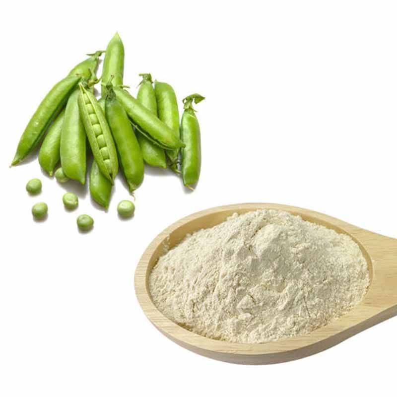 High Grade Organic Healthcare Plant Extract Pea Protein Isolate Powder