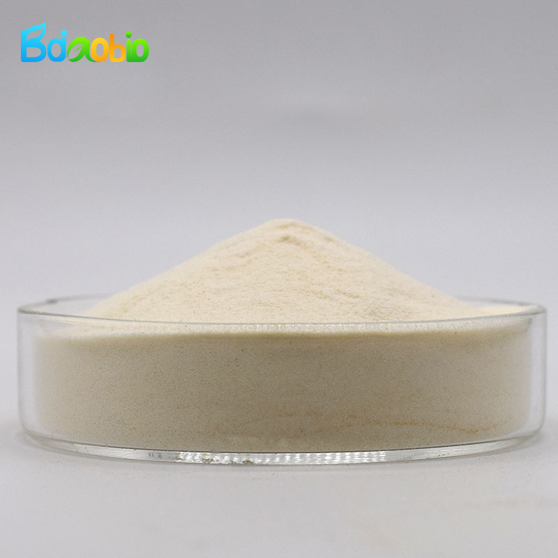 Wholesale Price High Quality Natural Food Grade Chickpea Protein Isolate Powder