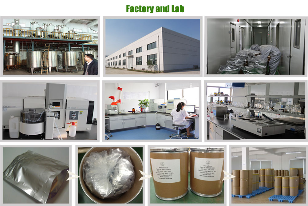 Factory Image 2
