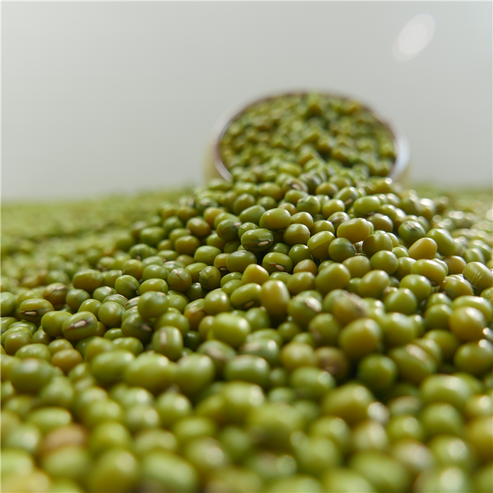 Green Mung Beans Quality