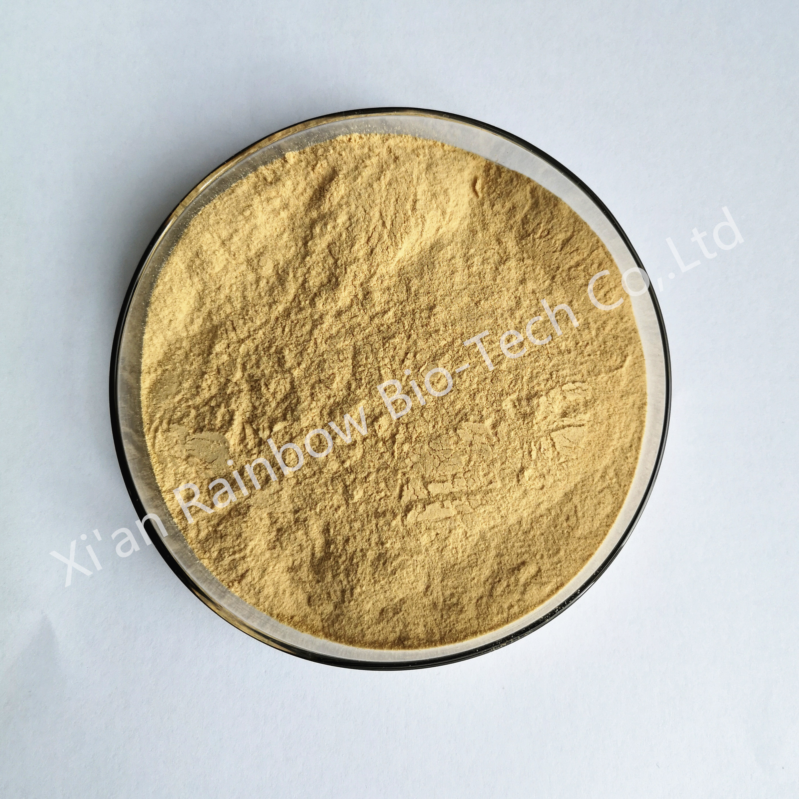 Top Quality Pure Natural Potato Protein Powder