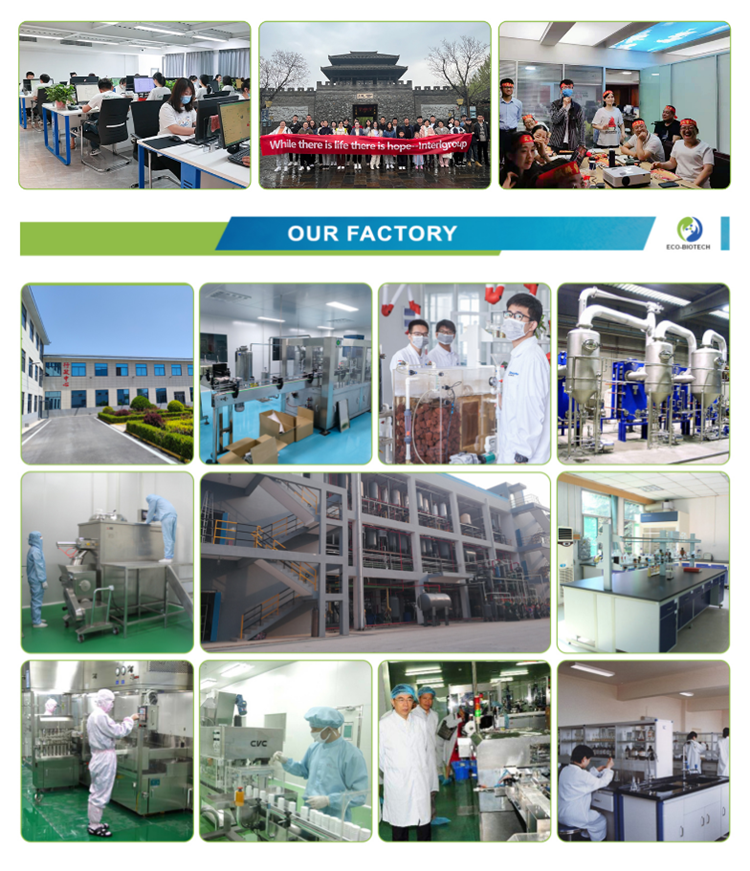 Factory Scale