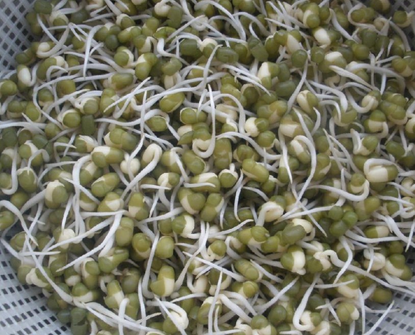 Bulk Grain Products
